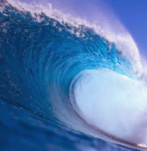 Meet your Posher, Sophie